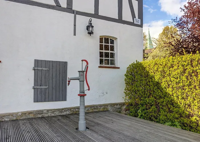 Weserberglandblumen Bad Pyrmont